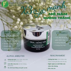 DNA HỒNG YẾN
